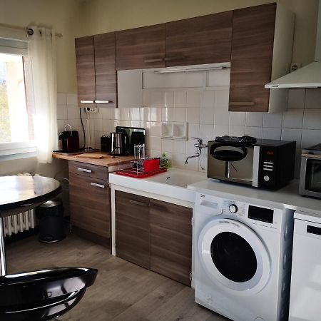 Le Mary - Grand F3 Cosy Centre Clermont-Ferrand Avec Garage Appartement Buitenkant foto